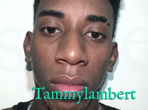 Tammylambert