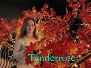 Tanderrose