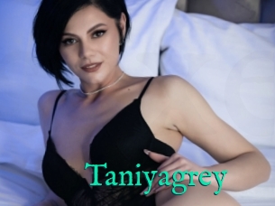 Taniyagrey