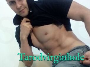 Tarodvirginhole