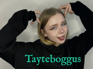 Tayteboggus