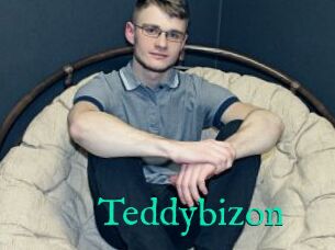 Teddybizon