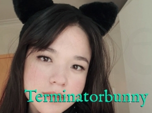 Terminatorbunny