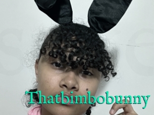 Thatbimbobunny