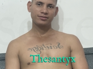 Thesantyx