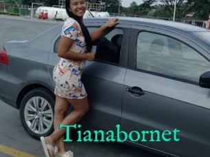 Tianabornet