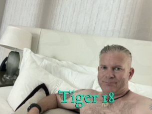 Tiger_18