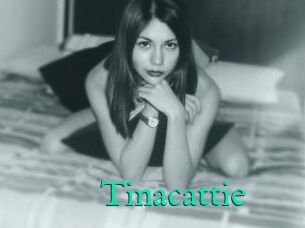 Tinacattie