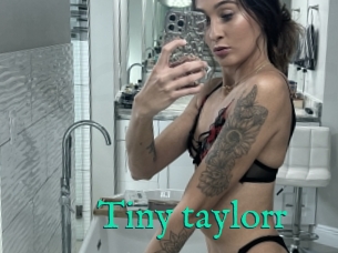 Tiny_taylorr