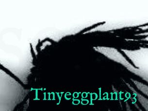 Tinyeggplant93