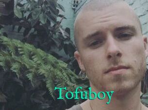 Tofu_boy