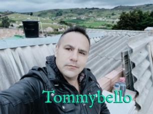 Tommybello