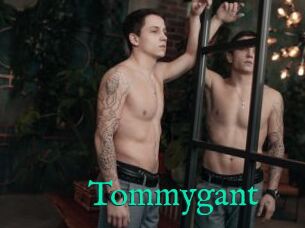 Tommygant