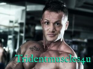 Tridentmuscles4u