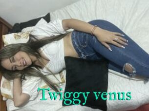 Twiggy_venus