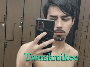 Twunkmikee