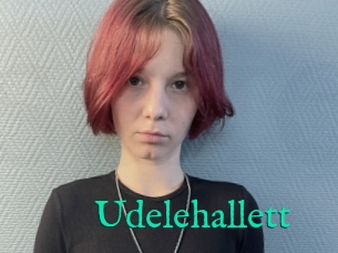 Udelehallett