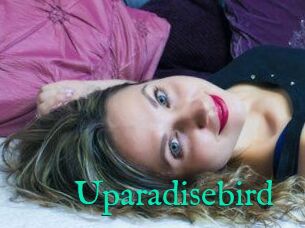 Uparadisebird