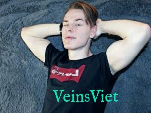 VeinsViet