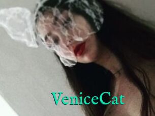 VeniceCat