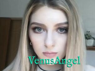 VenusAngel