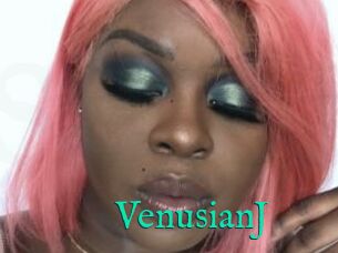 VenusianJ