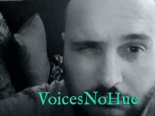 VoicesNoHue