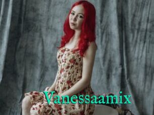 Vanessaamix