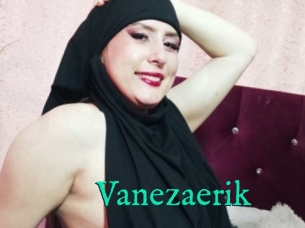 Vanezaerik