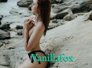 Vanillafox