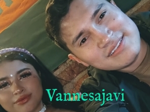 Vannesajavi