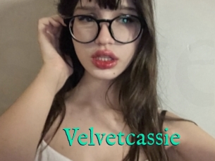 Velvetcassie