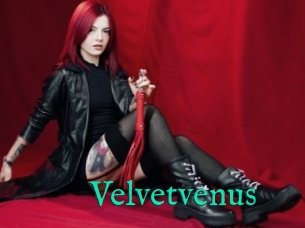 Velvetvenus