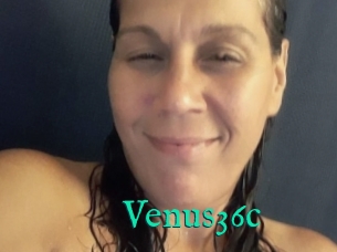 Venus36c