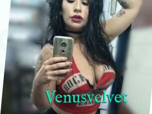 Venusvelvet