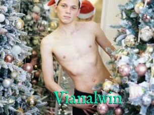 Vianalwin