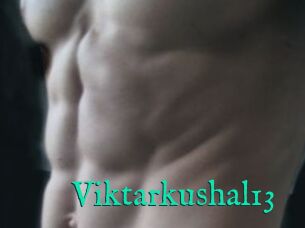 Viktarkushal13