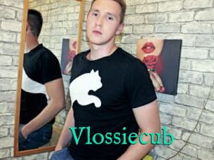 Vlossiecub