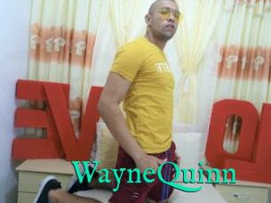 WayneQuinn