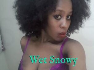 Wet_Snowy