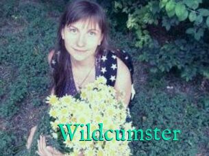 Wildcumster