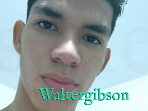 Waltergibson