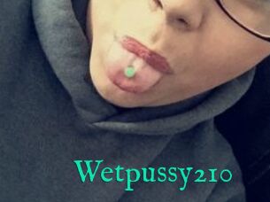 Wetpussy210