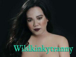 Wildkinkytranny