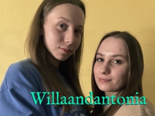 Willaandantonia