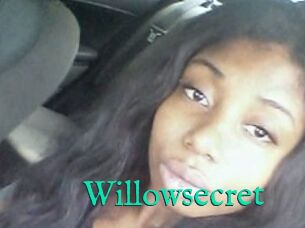 Willow_secret