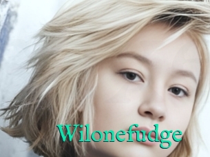 Wilonefudge