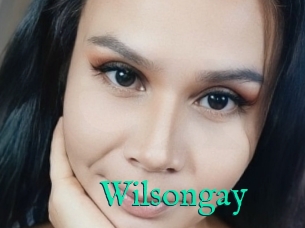 Wilsongay