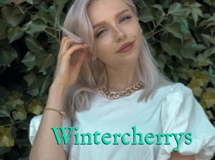 Wintercherrys