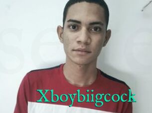 Xboybiigcock